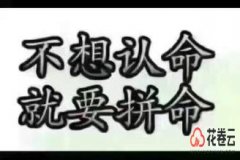 选择淘宝客app的理由