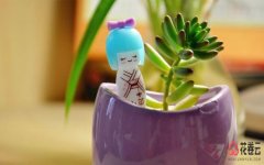 淘宝客小程序和淘客app有什么区别