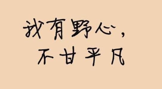 返利淘客app系统优势有哪些